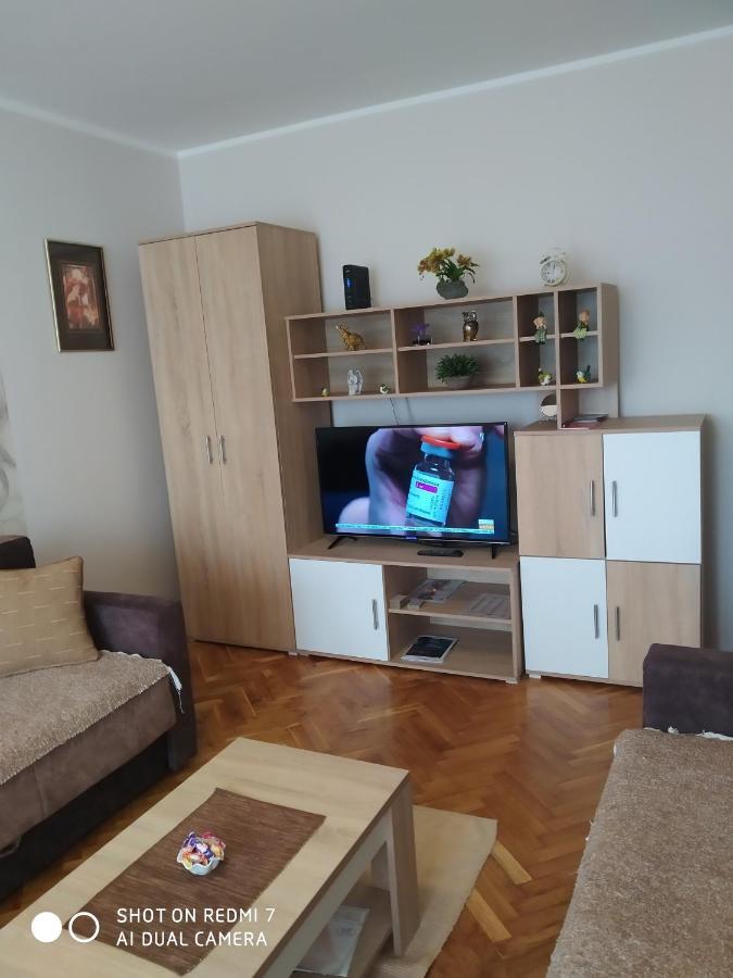 Apartman Ivan 维尔蒂尼克 外观 照片