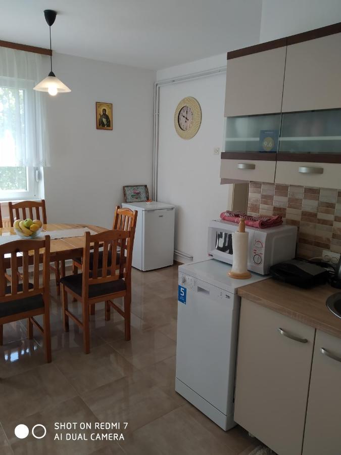 Apartman Ivan 维尔蒂尼克 外观 照片