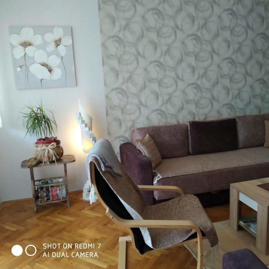 Apartman Ivan 维尔蒂尼克 外观 照片