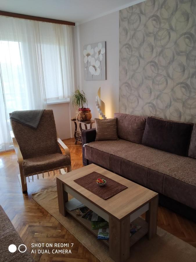 Apartman Ivan 维尔蒂尼克 外观 照片
